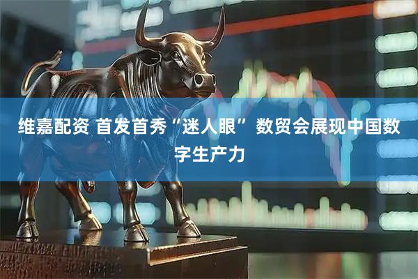 维嘉配资 首发首秀“迷人眼” 数贸会展现中国数字生产力