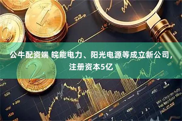 公牛配资端 皖能电力、阳光电源等成立新公司，注册资本5亿
