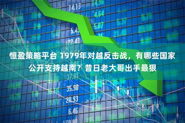 恒盈策略平台 1979年对越反击战，有哪些国家公开支持越南？昔日老大哥出手最狠