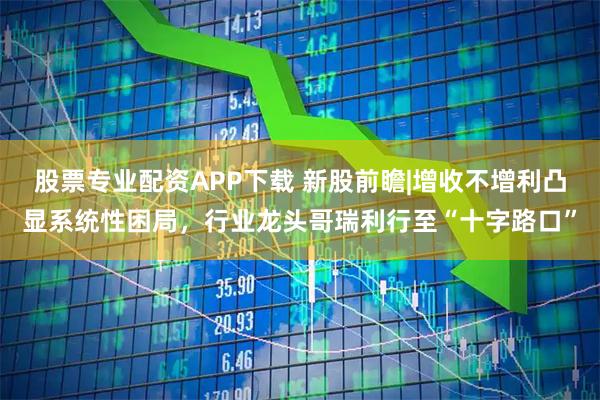 股票专业配资APP下载 新股前瞻|增收不增利凸显系统性困局，行业龙头哥瑞利行至“十字路口”