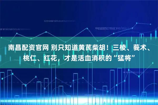 南昌配资官网 别只知道黄芪柴胡！三棱、莪术、桃仁、红花，才是活血消积的“猛将”